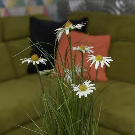Stőger Panzió Alojamento de Acomodação e Pequeno-almoço 3*