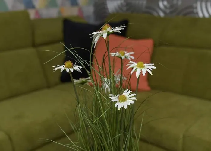 Stőger Panzió Alojamento de Acomodação e Pequeno-almoço 3*